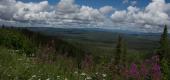 Album Alaska HWY - Whitehorse - Skagway ansehen
 67 Bilder