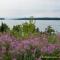 ...und der lake Superior..bietet immer neue Einblicke..