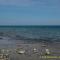 ...in der Georgian Beach des Lake Huron stehen wir 2 Tage....