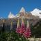 Der Fitz Roy.....