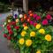 ..das sind Holzblumen.....