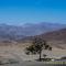 Wir kommen der Atacama näher....