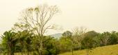Album Belize ansehen
 24 Bilder