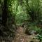 ..um dann zum WOMO zu wandern..