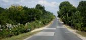 Album Costa Rica ansehen
 95 Bilder