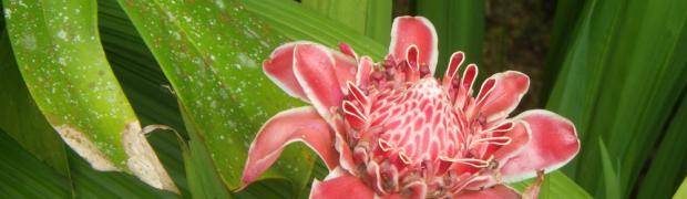 2015/2016 PANAMERIKANA:
          PANAMERIKANA - MITTELAMERIKA:
Costa Rica:
WJ00054