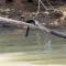 ..sondern auch schlucken, der Fisch hat wohl was dagegen...