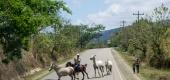 Album Honduras ansehen
 54 Bilder