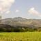 ..weite Landschaft...