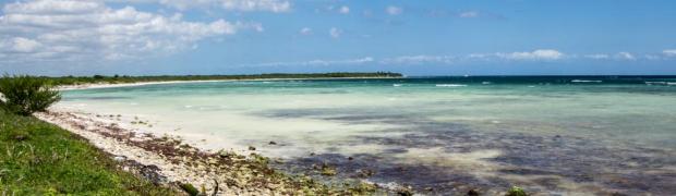 2015/2016 PANAMERIKANA:
          PANAMERIKANA - MITTELAMERIKA:
Mexico Teil 1: Land der Maya:
WJ00006