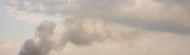 Mexico Teil 3: Der Schluss - Die Küste hinter der Baja California bis Tombstone:
WJ00094