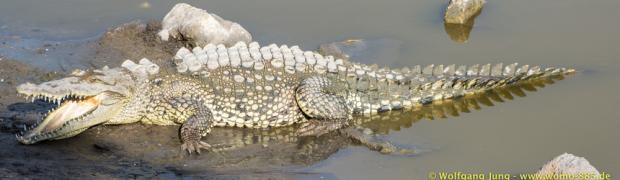 2015/2016 PANAMERIKANA:
          PANAMERIKANA - MITTELAMERIKA:
Mexico Teil 3: Der Schluss - Die Küste hinter der Baja California bis Tombstone:
WJ00118