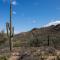Saguaro NP - Wanderung am Morgen...