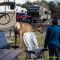 ..und die Elk's im Camper Village, freuen sich über das frische Gras...