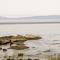 ..Kormorane rasten nach der Jagd....im Hintergrund Vancouver Island..