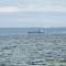 ..Schiffe kreuzen uns auf dem "Admiralität Inlet", die kommen aus den Häfen von Seattle...