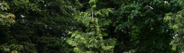 USA - BC - OREGON - WASHINGTON - VANCOUVER:
WJ00074