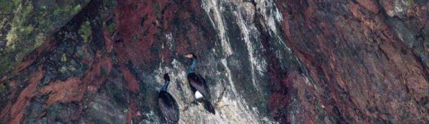 2015/2016 PANAMERIKANA:
         PANAMERIKANA - NORDAMERIKA:
Valdez - Whittier - Kenai Fjords NP:
WJ00034