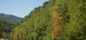 Album Blue Ridge Parkway - NC, VA ansehen
 126 Bilder