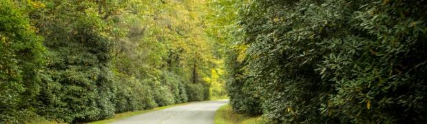 2015/2016 PANAMERIKANA:
USA - DER OSTEN - KÜSTE VON NORD NACH SÜD:
Blue Ridge Parkway - NC, VA:
WJ00072