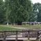 ...heute wird im Park hiter der Burg geheiratet....