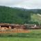 ..ein Sägewerk...Holzindustrie ist das zweite Standbein der Region....