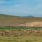 ...Herde in der Steppe.....