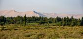 Album Provinz Xinjiang ansehen
 63 Bilder