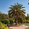 ..Weltkulturerbe...Eram Garten....