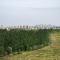 ...in sichtweite Jiayuguan.....