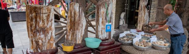 2019 - Seidenstraße:
Westliches Ende der Chinesischen Mauer:
WJ-2019-Q-54