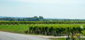 Album Heimreise ansehen
 22 Bilder