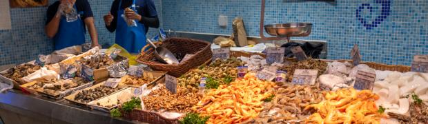 2021 - über Avigon nach Peralada in Spanien:
F_S_P_2-25