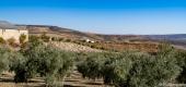 Album 2021 - Cordoba bis Portugal ansehen
 49 Bilder