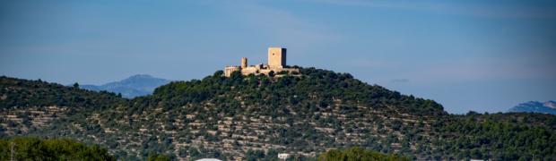 2021 - bis Alhama de Granada:
F_S_P_4-1