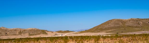 2021 - Frankreich - Spanien - Portugal:
2021 - bis Alhama de Granada:
F_S_P_4-28