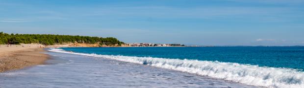 2021 - Templo del Sol:
F_S_P_3-11