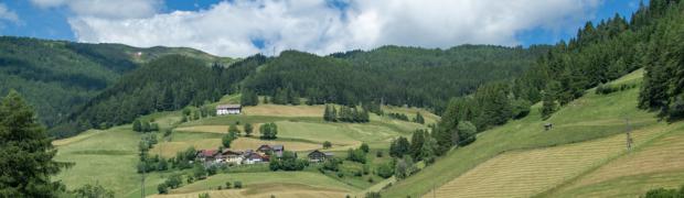 2021 - Suedtirol  - Erholung und Wandern im Juni:
WJ-2021-S-73