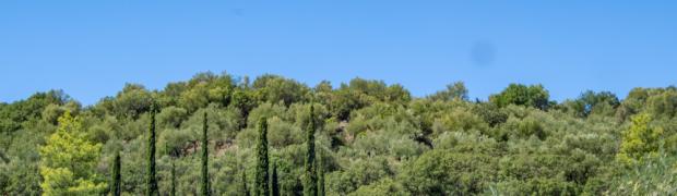 5. Methoni - Gythion:
WJ-2022-E-15