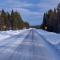...die winterlicher werden...