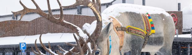 2022 Winterreise Finnland:
Äkäslompolo, Hetta:
FIN -037