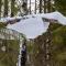 ....Launen der Natur...Schneeskulpturen im Wald...