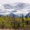 .Blick in den Kluane NP....