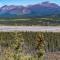 ..das Tal des Kluane River....
