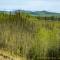 ...neben der Alaska Pipeline....
