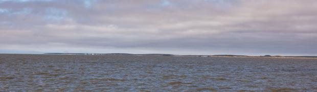 2023 - Nordamerika:
14.1 Dempster Hwy nach Norden:
USA-23-14-104