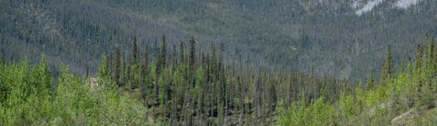 2023 - Nordamerika:
14.1 Dempster Hwy nach Norden:
USA-23-14-27