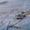 ..so ging Materialtransport vor 1979..nur im Winter mit "Cat Trains"......