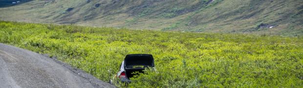 2023 - Nordamerika:
14.2 Dempster Hwy nach Süden:
USA-23-14.2-90