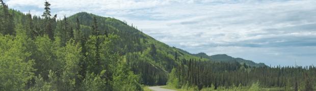 2023 - Nordamerika:
15. Alaska Hwy bis Muncho Lake:
USA-23-15-17